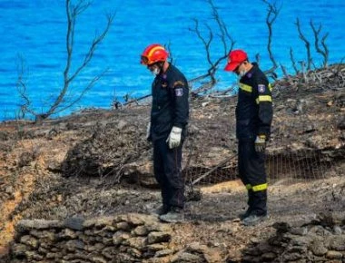 Γερμανική εφημερίδα FAZ για τις φωτιές στην Ελλάδα: Κάνει λόγο για συγκέντρωση εξουσιών